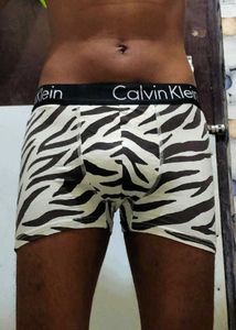 Assorted Men's Briefs Underwears🩲🌻