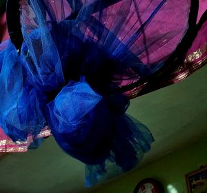 blue mosquito 🦟 net