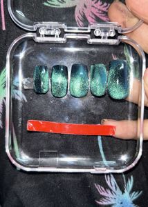 Cat Eye Press-On Nails