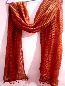 Beautiful Brown Dupatta