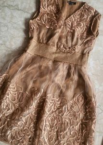 Luxury Embroidered Organza Party Dress