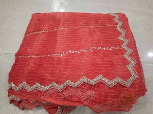 Stunning Coral Saree with Silver Embellishments