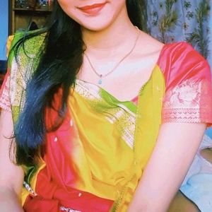 multi colour saree