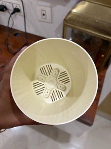Stylish Cream Planter Pot