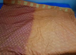 Elegant Saree with Peacock Border