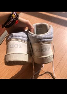Need Money