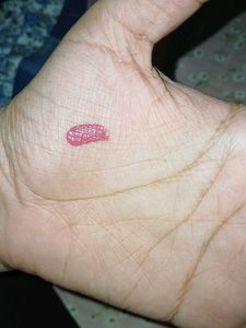 Nykaa Lipstick