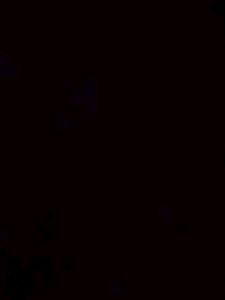 Test P1