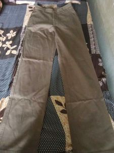 Men's Casual brown Pants
