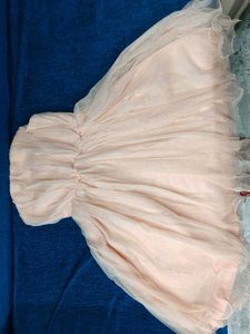 Elegant Strapless Tulle Dress