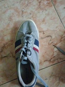 USPA Grey Casual Sneakers