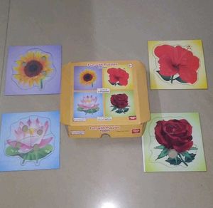 Puzzle & books set