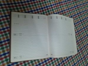 Octane Ball Pens Pack of 10 with diary