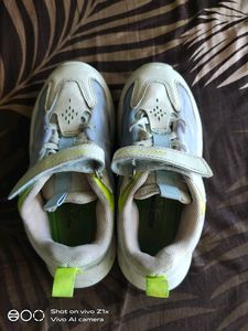 Boy Shoe