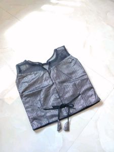 Elegant Metallic Pleated Saree