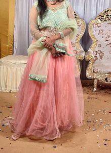 Crop Top Choli