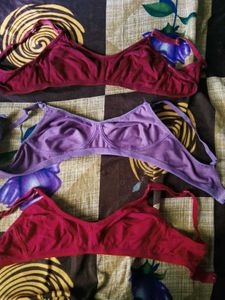 Comfortable Cotton Bras - Pack of 3