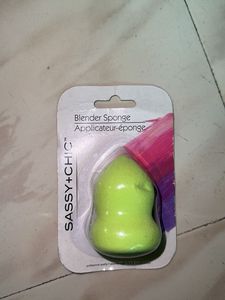 SASSY+CHIC Blender Sponge