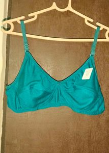 BRAND NEW BRA(36)
