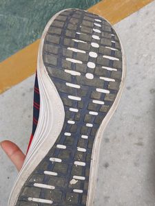Sports Shoes