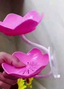 Wall Mounted Flower Soap Holder