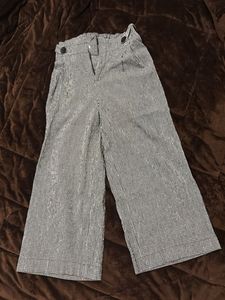 Sparkling Wide Leg Pants