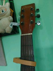 Fiera Customized Acoustic Guitar