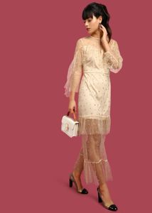 Soft Net Sequin Party Dress