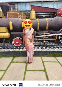 Elegant pure silk organza saree