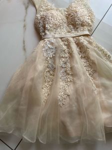 vintage Lace tulle dress