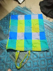 Colorful Checked Saree