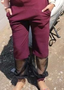 Mast And Harbour Burgundy Sheer Panel Pant