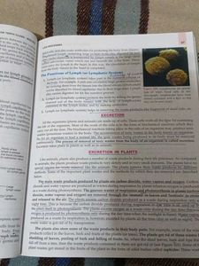 Science for Tenth Class: Biology