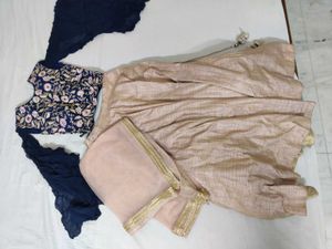Embroidered Lehenga Choli with Dupatta