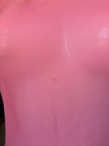 Pink Transparent Embellished  Top
