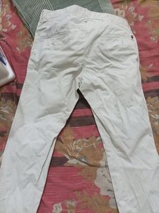 Louis Philippe Pant