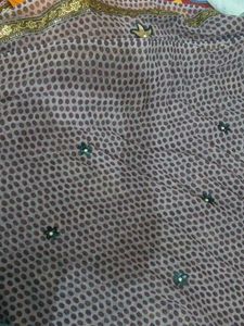 Beautiful Saree with Embellishments
