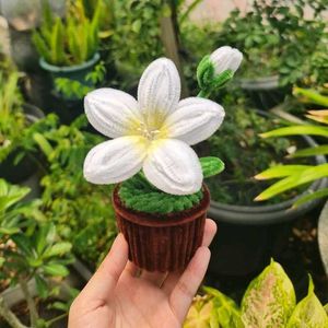 Handmade pipecleaner Flower Pots