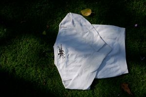 Casual Sweat Shirt For Women