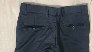 Business Savy Navy Blue cotton Pants