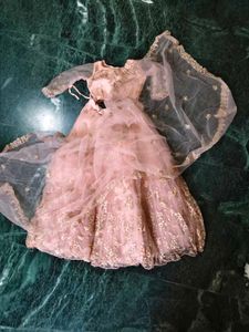 Stunning Pink Embroidered Gown