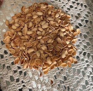 Pista Shells