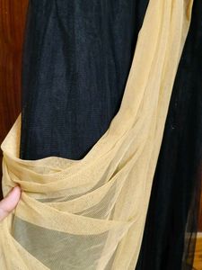 Elegant Ethnic Gown