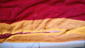 Ethnic saree and blouse