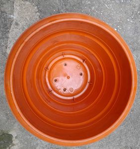 Big Plant Pots