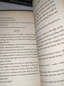 The Loose Ends List by Carrie Firestone