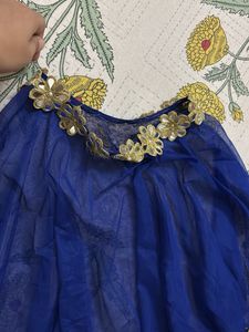 Royal Blue Embellished pochu top