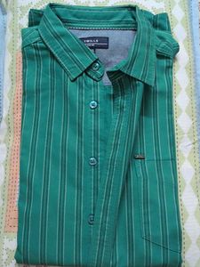 Green Striped Casual Shirt - Full Sleeves