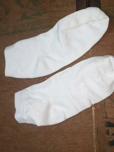 Classic White Crew Socks