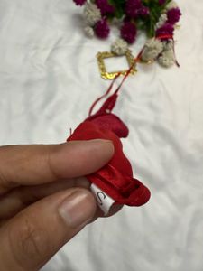 Red Brallate Top